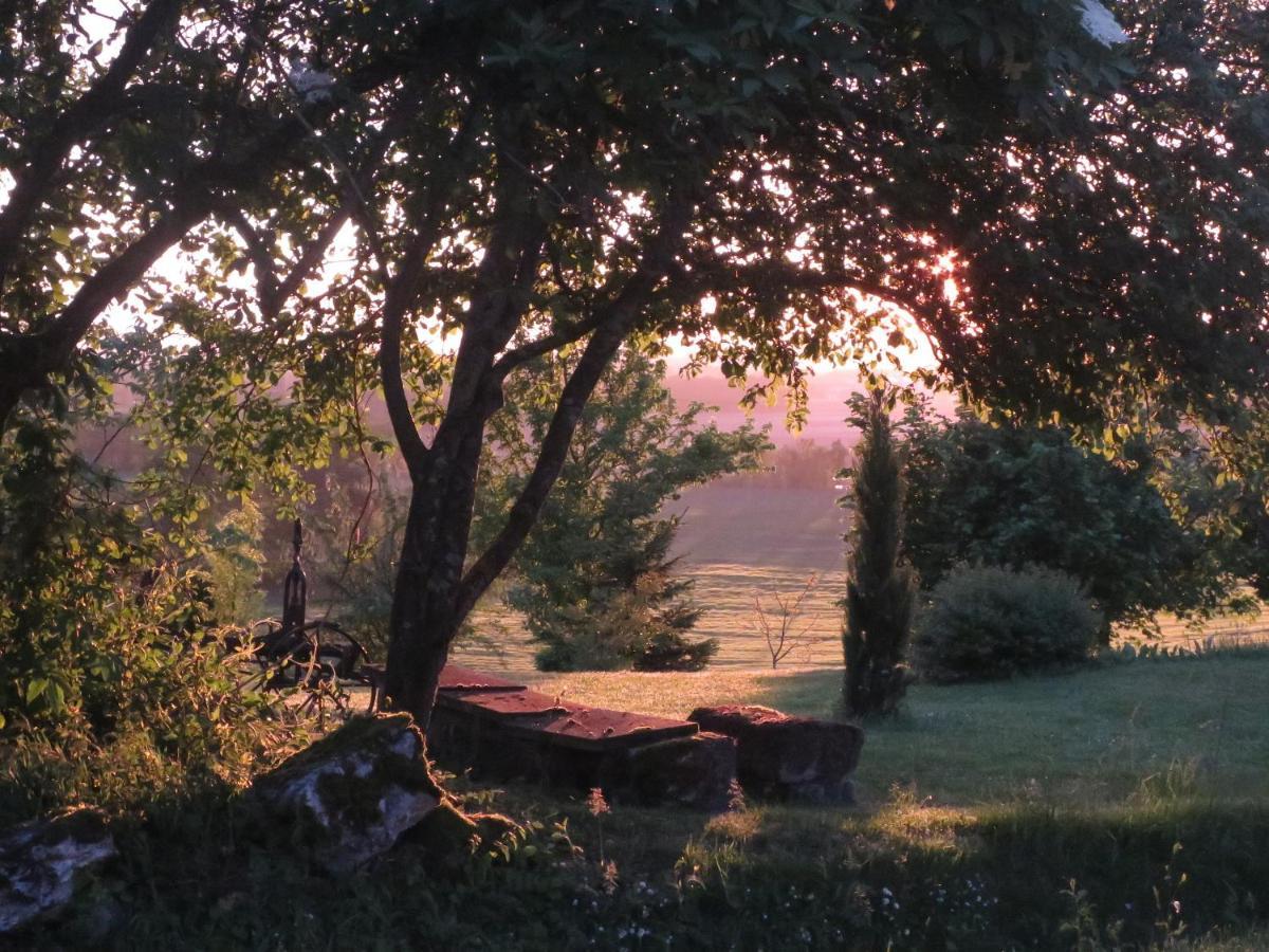 La Ferme Buissonniere Bed and Breakfast Bardou Εξωτερικό φωτογραφία