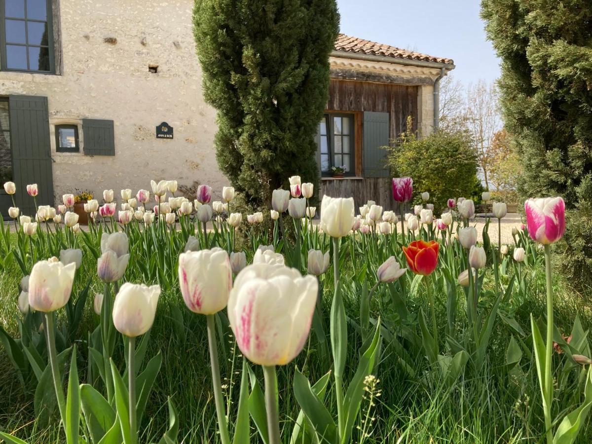 La Ferme Buissonniere Bed and Breakfast Bardou Εξωτερικό φωτογραφία