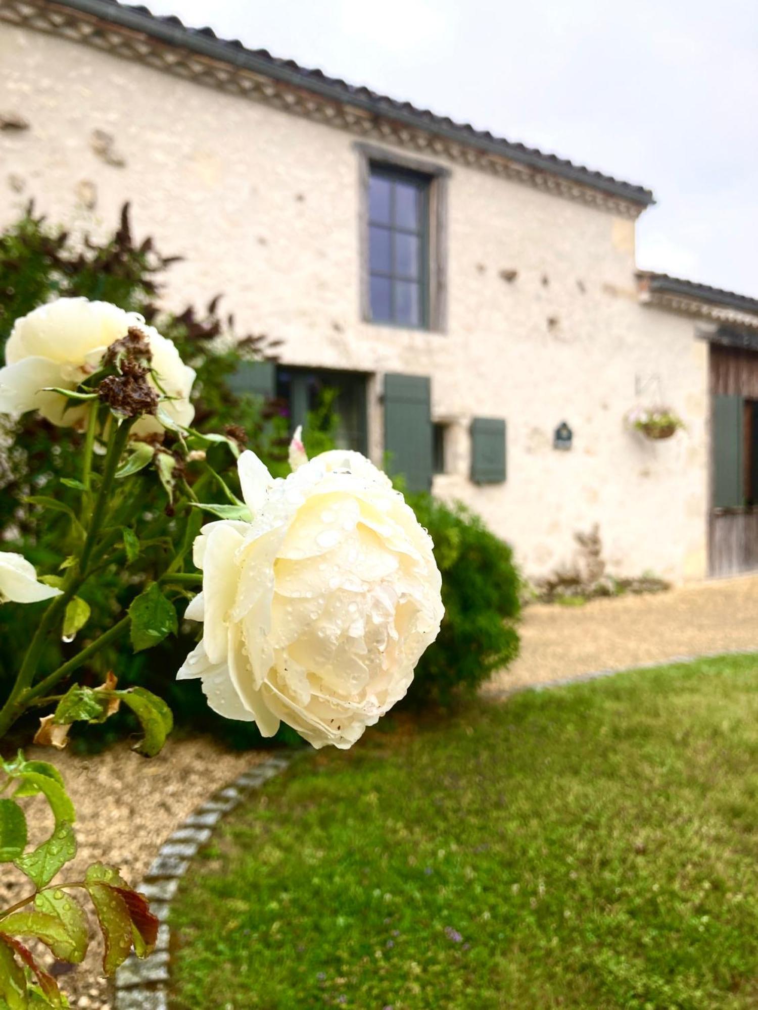 La Ferme Buissonniere Bed and Breakfast Bardou Εξωτερικό φωτογραφία