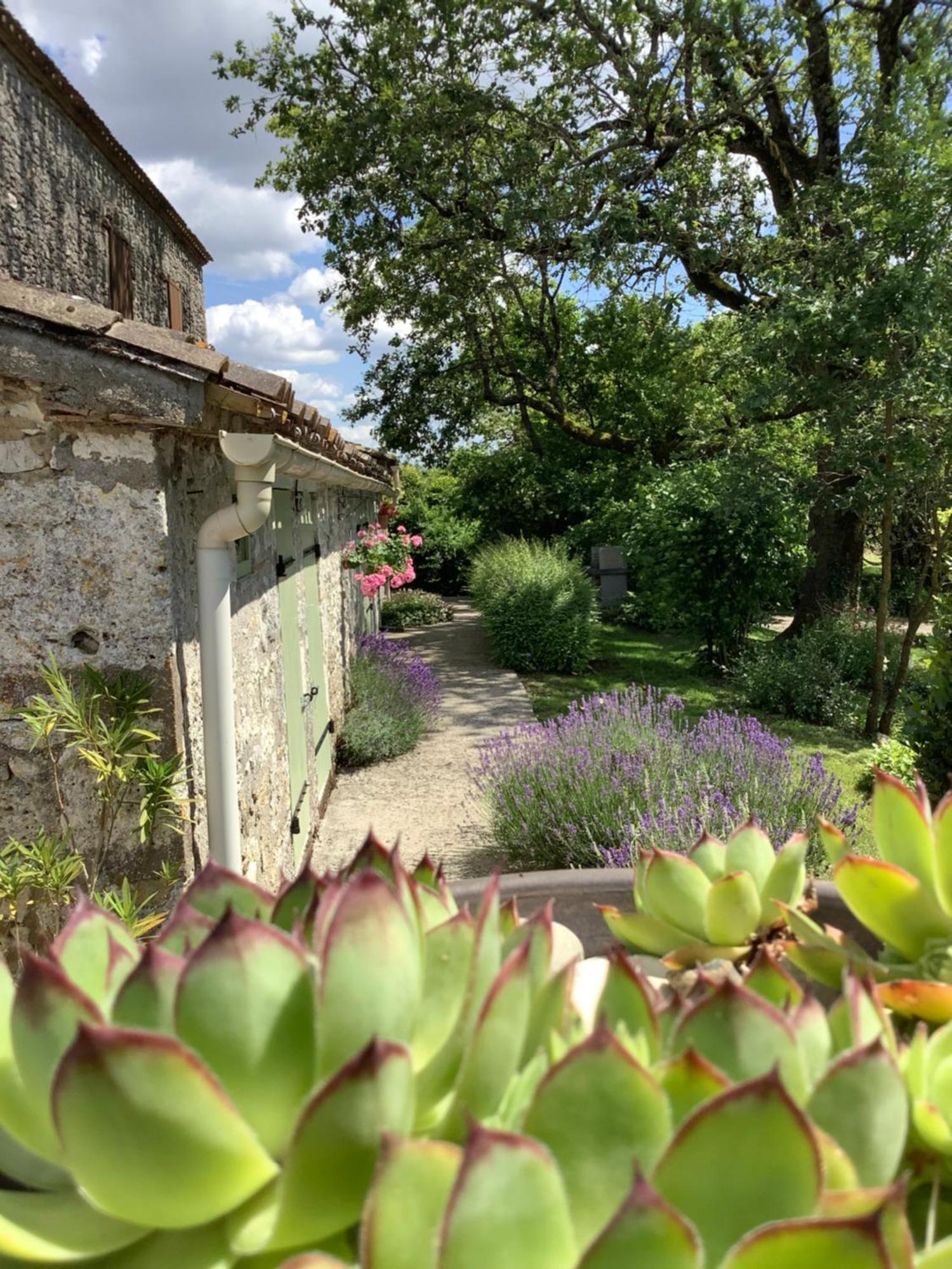 La Ferme Buissonniere Bed and Breakfast Bardou Εξωτερικό φωτογραφία