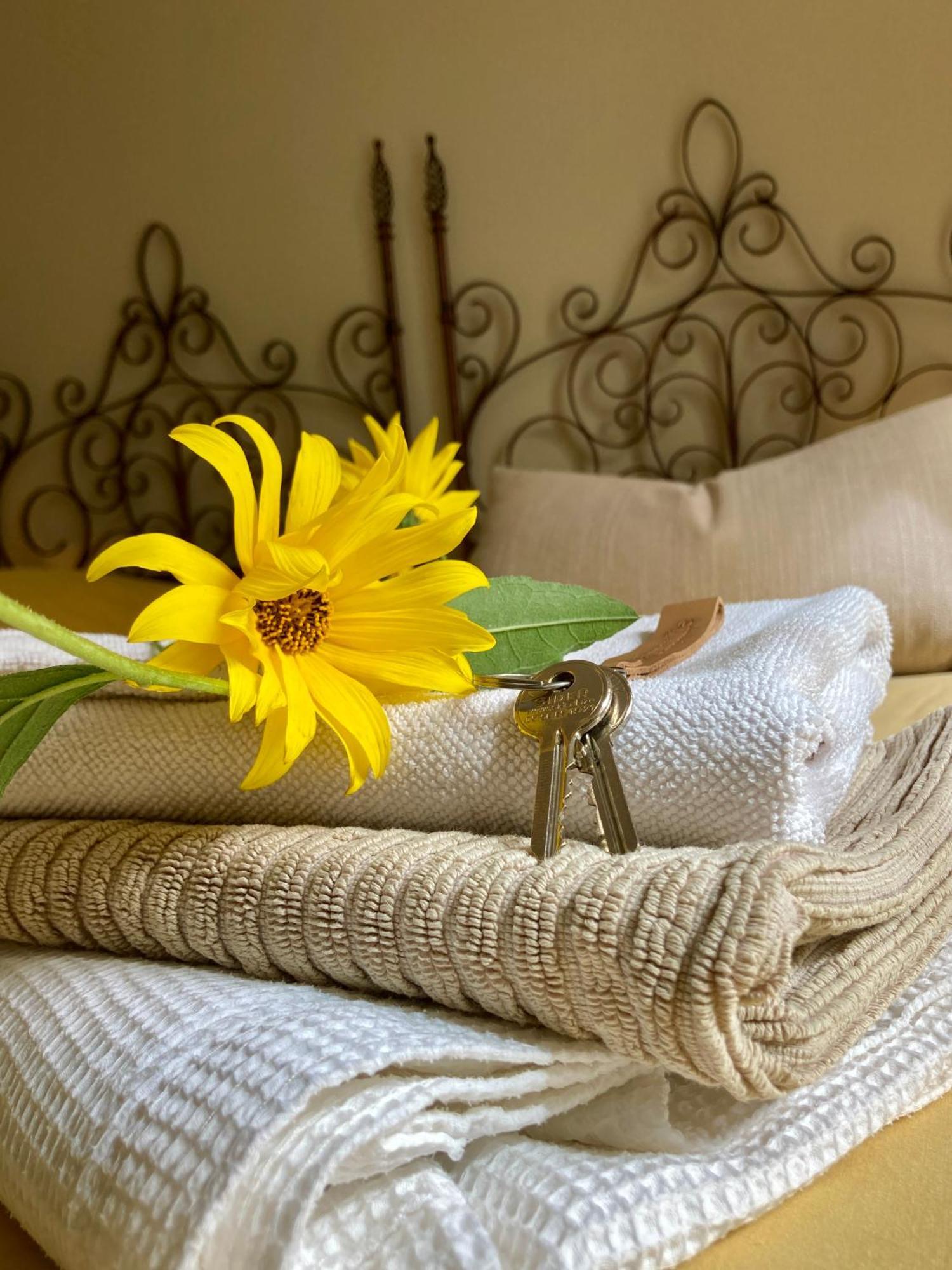 La Ferme Buissonniere Bed and Breakfast Bardou Εξωτερικό φωτογραφία
